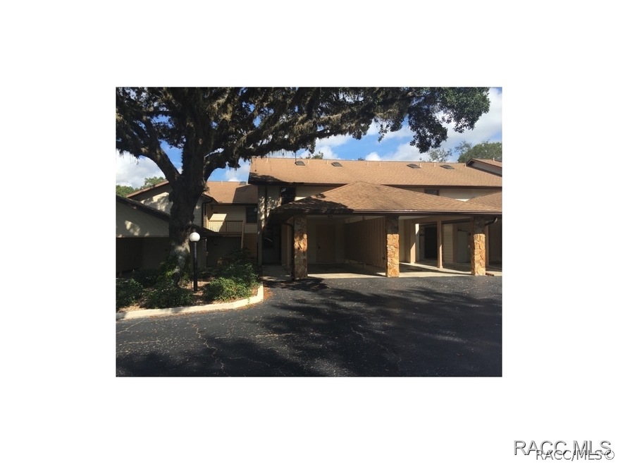 333 E Hartford St, Hernando, FL 34442 - photo 1