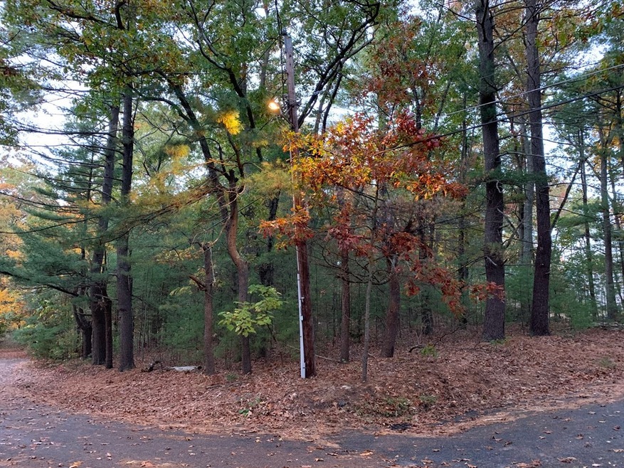 5B Seymour St, Concord, MA 01742 - photo 1