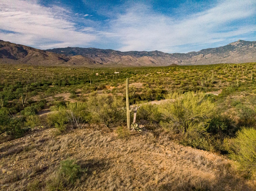 Panoramic