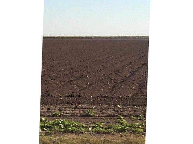 N/A S Fm 493, Donna, TX 78537 - photo 1