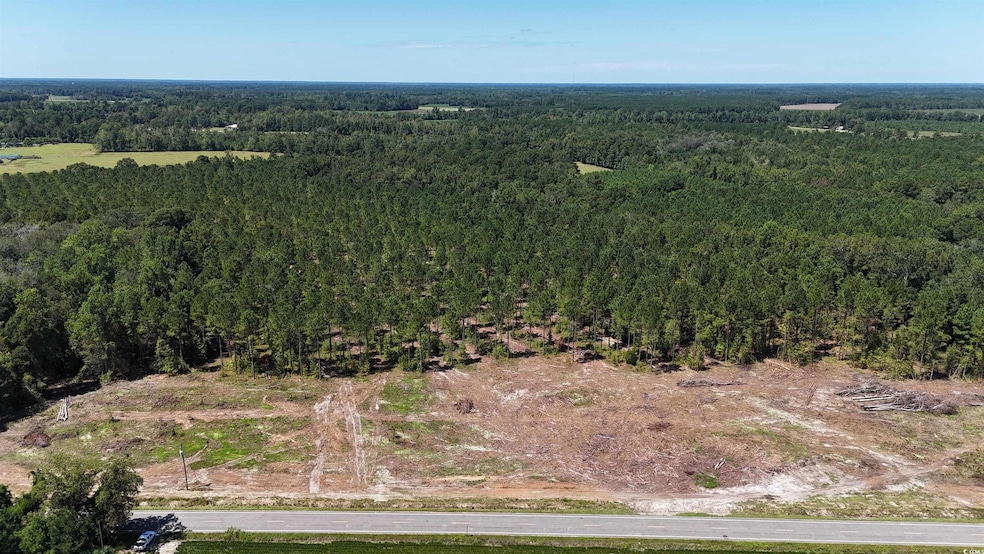 Aerial overview of property's location with a forest