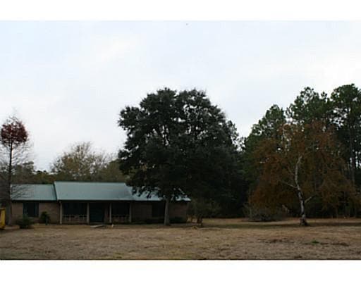 Primary Photo