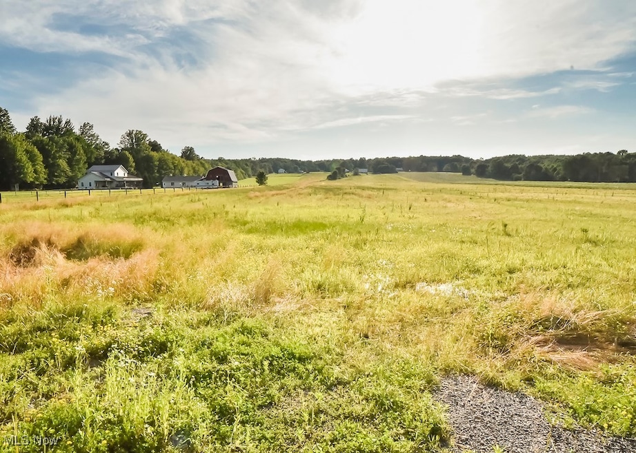 V/L Windsor-Mechanicsville Rd, Orwell, OH 44076 - photo 1