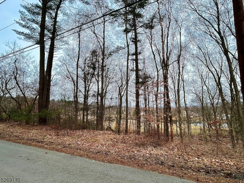 128 Hemlock, Montague Twp., NJ 07827 - photo 1