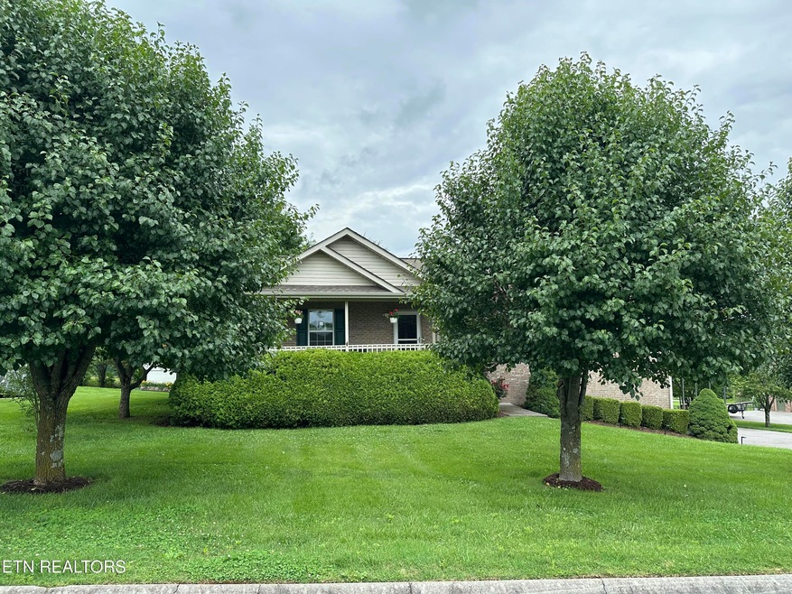Professional Landscape