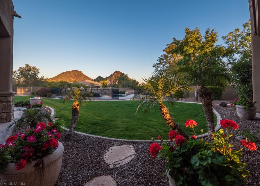 Endless Mountain Views