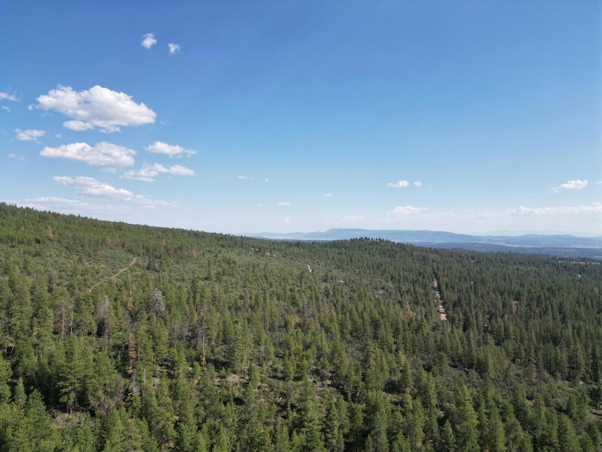 0 Sandpiper Ln unit 2300, Beatty, OR 97621 - photo 1