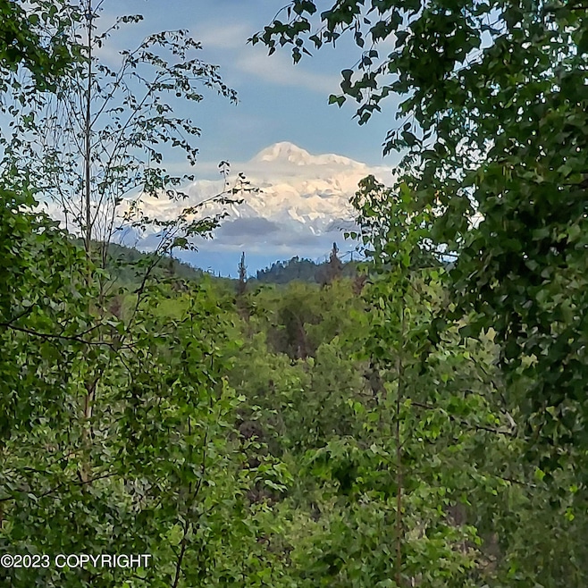 Denali Views