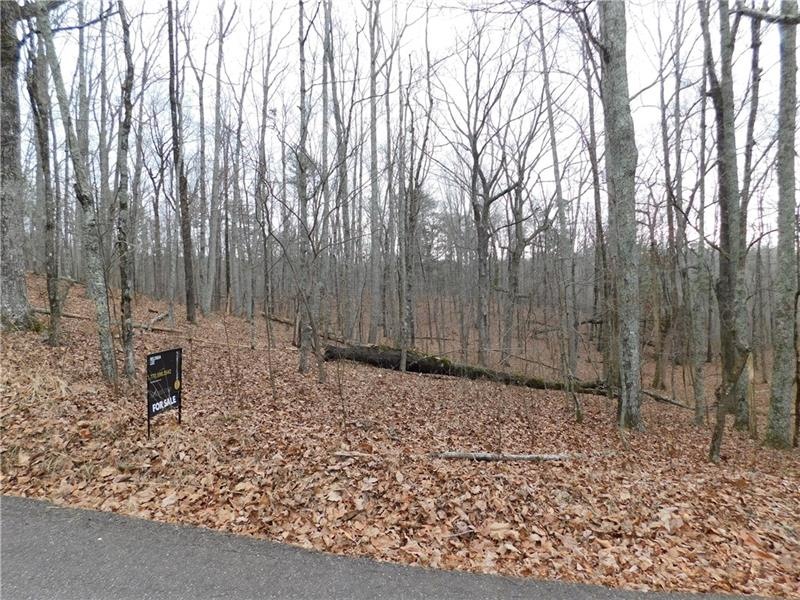 216 Stirratt Rd, Ranger, GA 30734 - photo 1