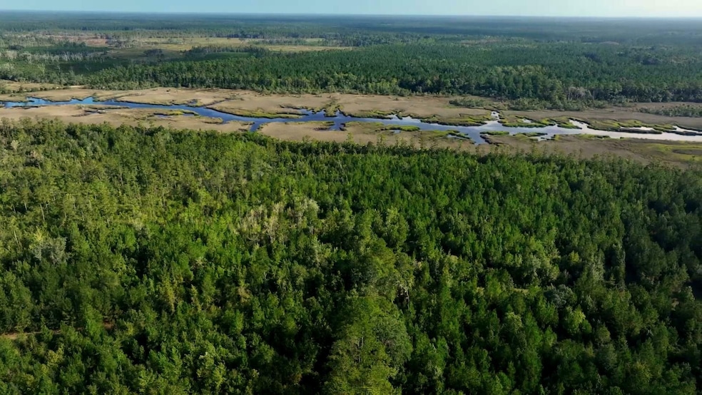 0 Georgetown Rd, Brunswick, GA 31523 - photo 1