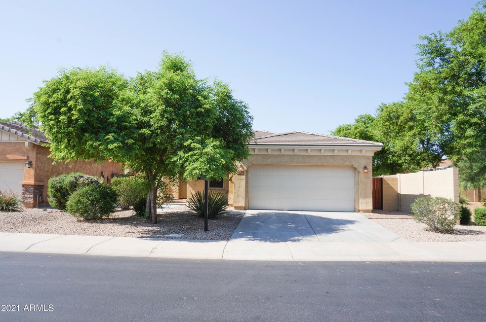 960 E Jacob St, Chandler, AZ 85225 - photo 1