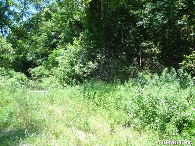 Exterior Front. 24 Acres of Wooded Land, just righ