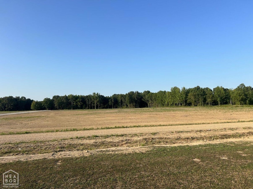 185 C R 422, Jonesboro, AR 72404 - photo 1