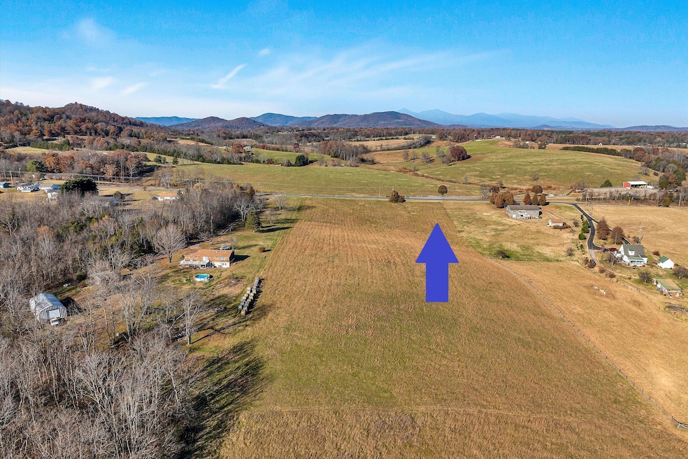 Tract 2 Stewartsville Rd, Moneta, VA 24121 - photo 1