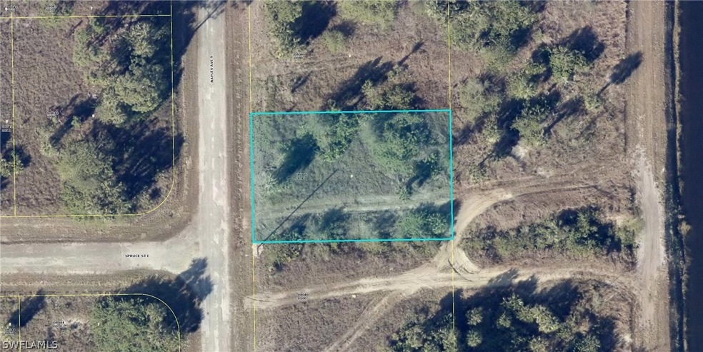 563 Naples Ave S, Lehigh Acres, FL 33974 - photo 1