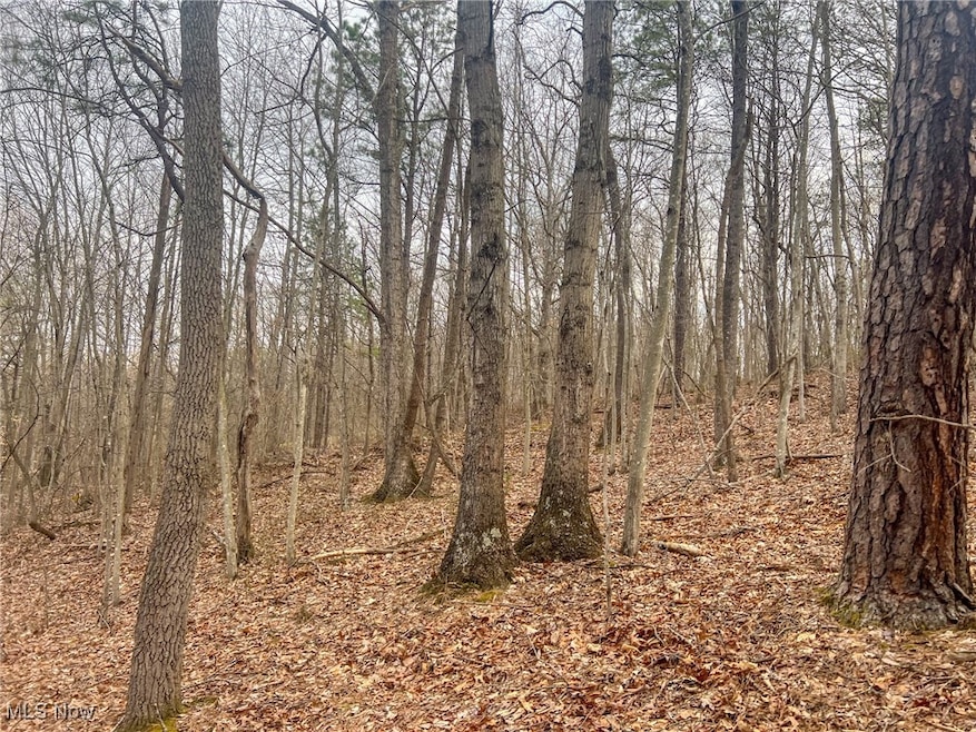 0 Ponetown Rd, Ray, OH 45672 - photo 1