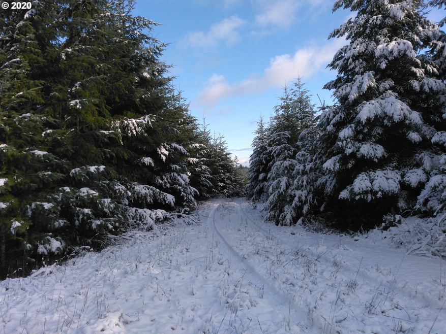 0 Gooseneck Creek Rd, Sheridan, OR 97378 - photo 1