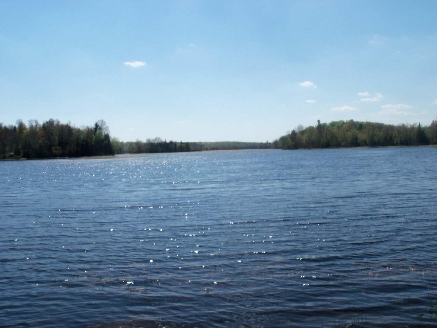 ON Eagle Waters Rd, Tomahawk, WI 54487 - photo 1