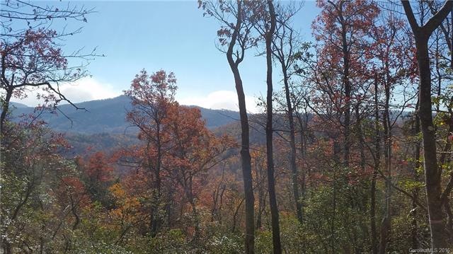 View from homesite