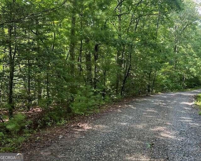 0 Hillbilly Holler unit 10349381, Blue Ridge, GA 30513 - photo 1