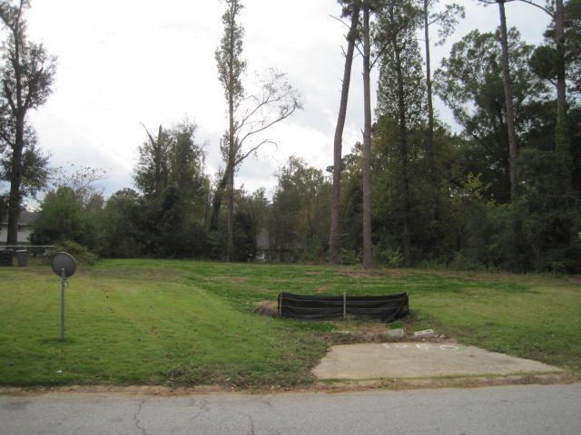 Primary Photo