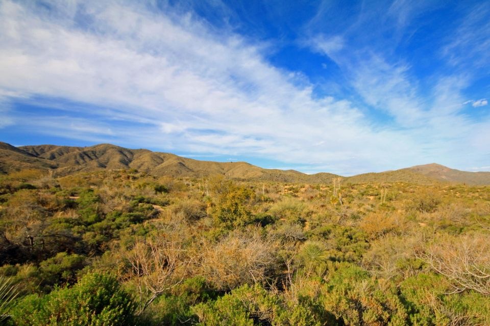 Lush high desert