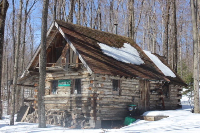 Main View