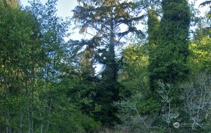 0 Cosgrove St unit NWM2403284, Hoquiam, WA 98550 - photo 1