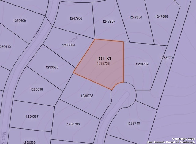 22931 Homestead Mesa, San Antonio, TX 78255 - photo 1