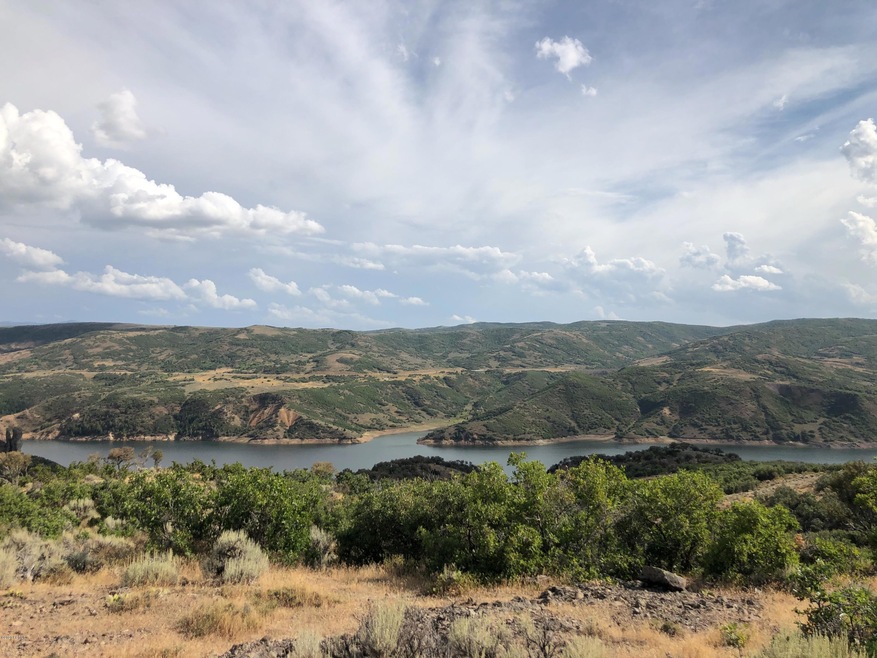 Water Views