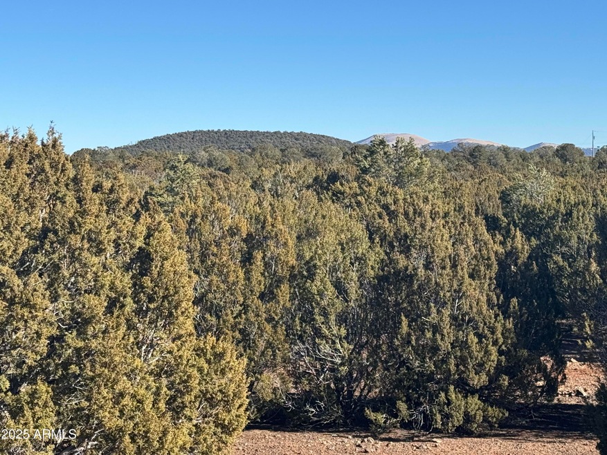 #5 Skyline Ranch -- unit 5, Vernon, AZ 85940 - photo 1