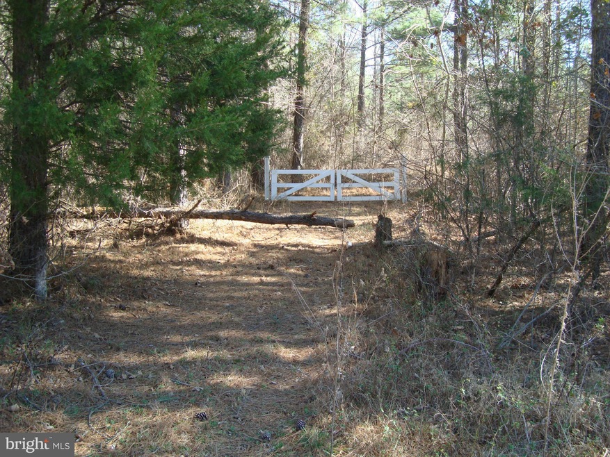 0 Governors Point Ln unit 1000184063, Unionville, VA 22567 - photo 1