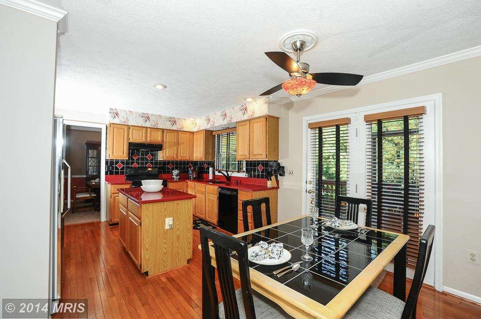 4931 Ilchester Point Ct, Ellicott City, MD 21043 - photo 1