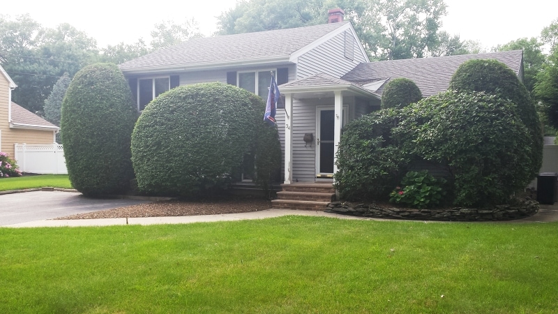 34 Ackerson Ave, Pequannock, NJ 07440 - photo 1