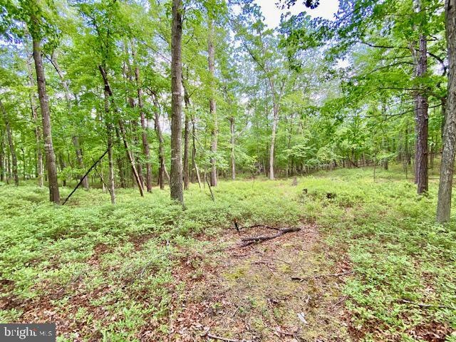 0 Lost River Ridge Cir unit WVHD2001560, Wardensville, WV 26851 - photo 1