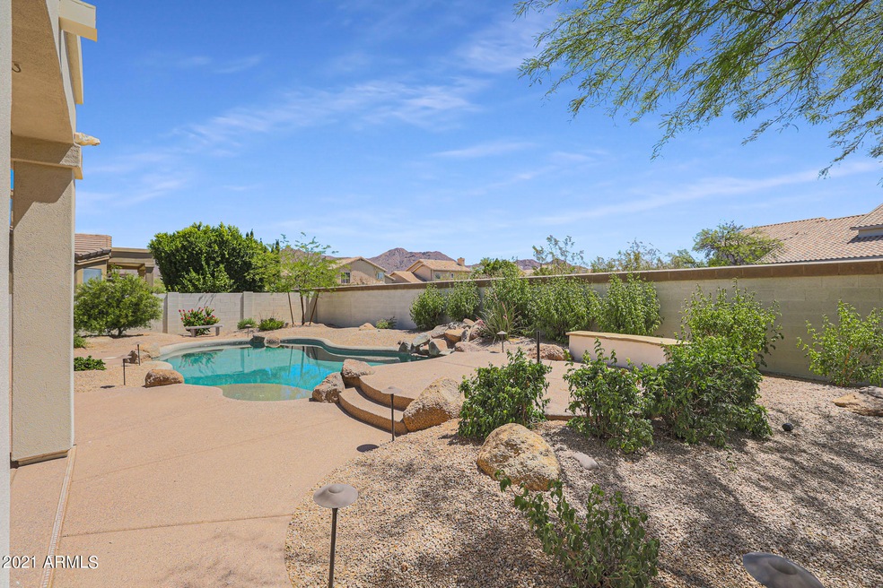Backyard Views!