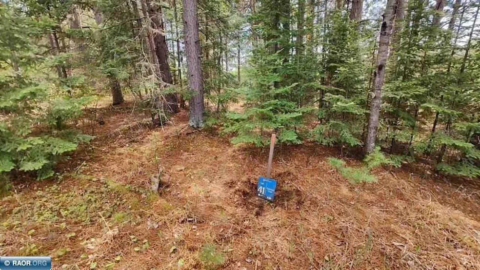 80064 Osprey Pass, Tower, MN 55790 - photo 1