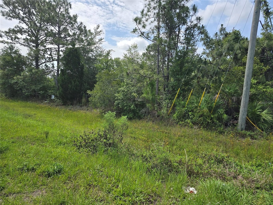 Build your dream home on this 2.88 acres of land located in Wedgefield.  835 ft. on Bancroft and 150 feet along Quarterly.