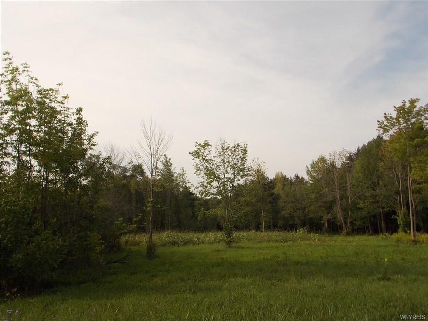 Beautiful 5 acre lot with privacy to build your dr