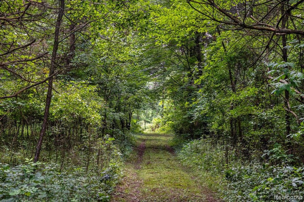 10 Acres of Vacant Land on Sober Road