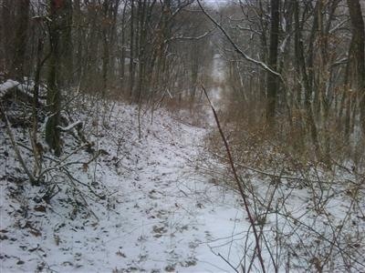 7801 W 121st Ave, Crown Point, IN 46307 - photo 1