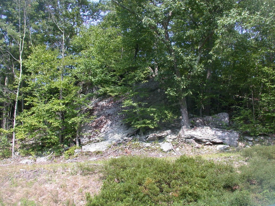 104 Blue Heron Way, Hawley, PA 18428 - photo 1