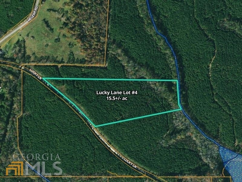 0 TRACT 4 Lucky Ln, Bowdon, GA 30108 - photo 1