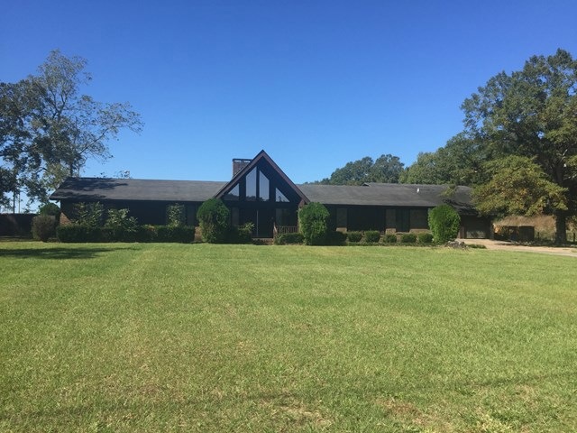 Main View