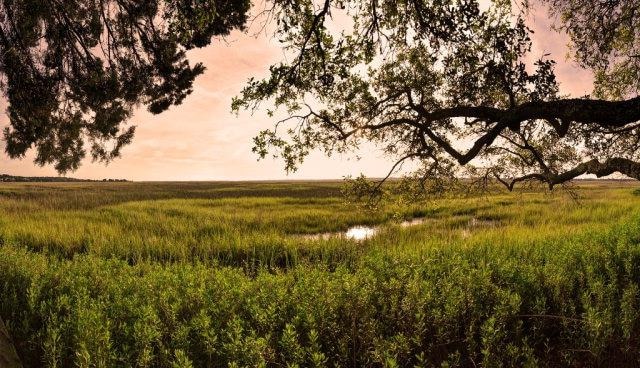 421 Palm Dr, Saint Simons Island, GA 31522 - photo 1