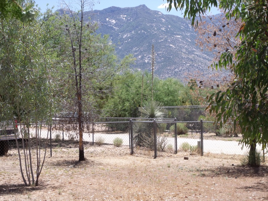 View from front porch