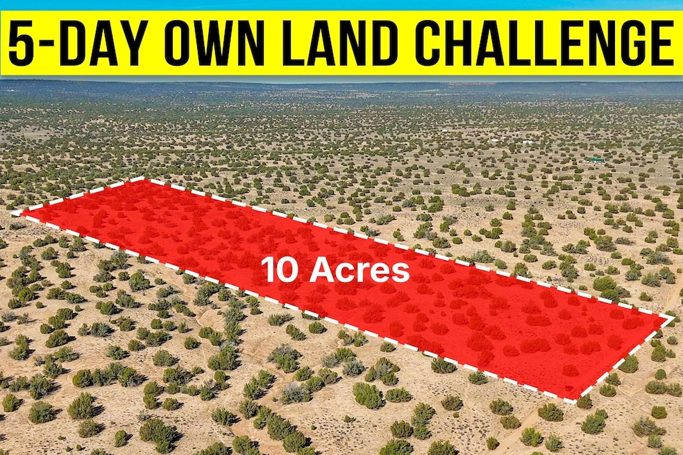 75 County Rd N7204, Saint Johns, AZ 85936 - photo 1