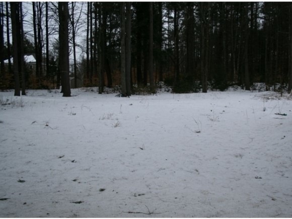 46 Red Gate Ln, Rindge, NH 03461 - photo 1