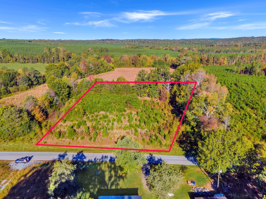 677 White Fall Rd, Gretna, VA 24557 - photo 1