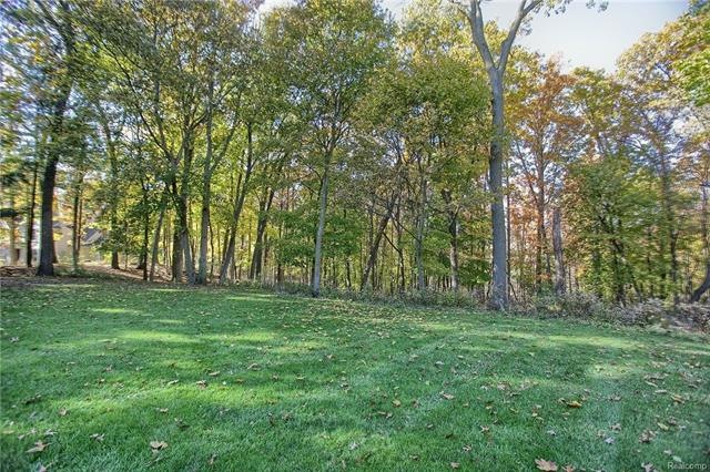 Backyard.jpg